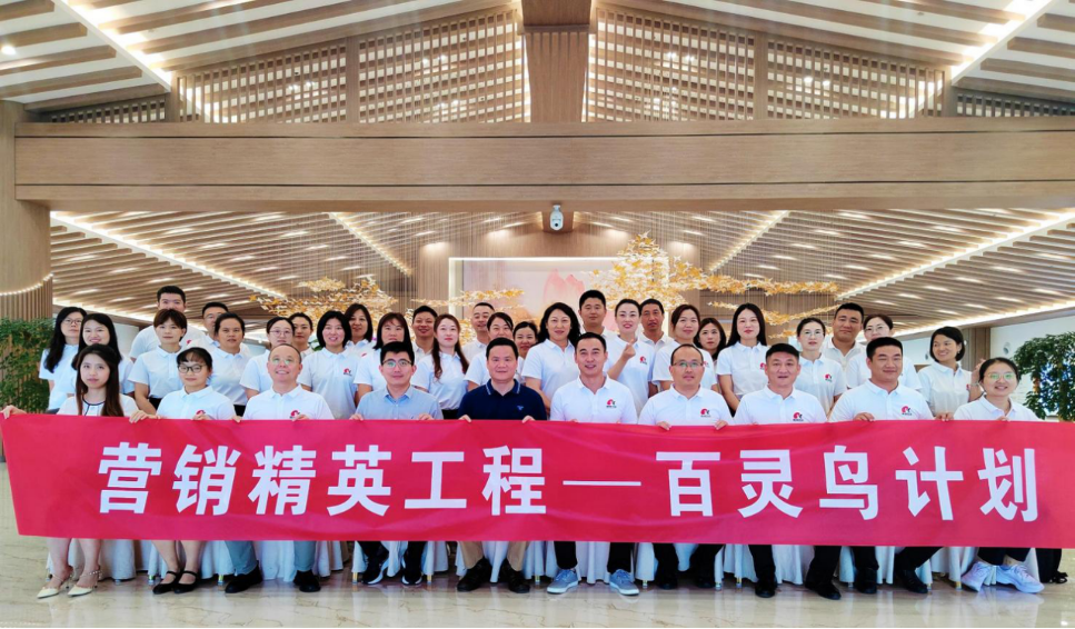 百靈鳥計劃